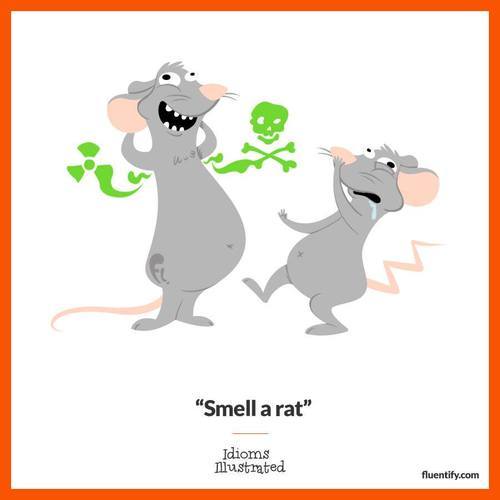 Idioms Illustrated