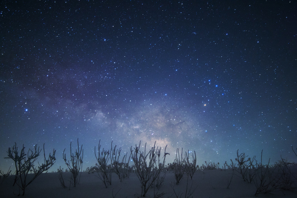 quiet-nymph:Photography  by masahiro miyasaka on Flickr