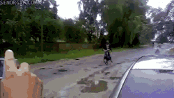 Failsnet:  Tumblr Fails.net - Biking With A Bud