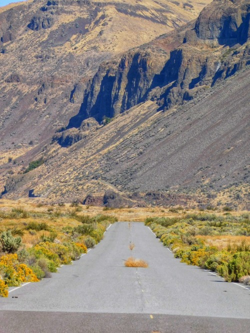 Abandoned Highway, Douglas County, Washington, 2019.