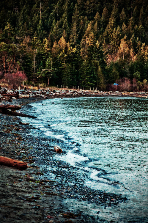 travelingcolors:  Sandwell Beach, Gabriola Island | Canada (by Orbittrap)