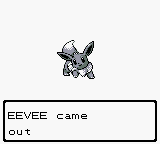 bluwiikoon:I’m so proud of Eevee!!