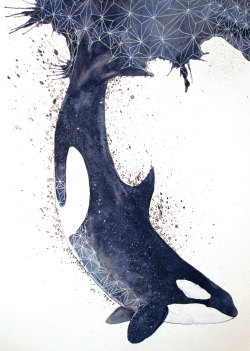 Canvaspaintings:  Print Of Original Watercolour Painting - Orca By Eriksterlingsherman