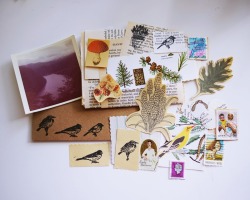 favoritejournal:    Grow Love - scrapbook