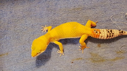 Some pictures of Corrine!