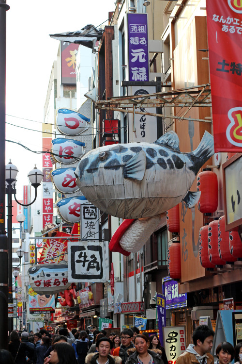 dotonbori in osaka, japan