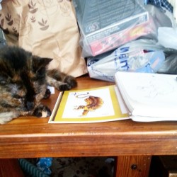 Copying a tiger out of a flash book. The cat is not impressed. #tattooflash  #catnotimpressed