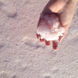 trupup:  i found a pink salt lake yesterday! it was so pretty and fun 