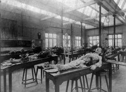 nekrophilen:  darkmaestro19:  adoregoree:  ❂  There’s a whole fucking……..studio?  factory?  workshop? for this?  WHERE IS THIS???  This is the anatomie class room of a 19th century medical school. The students worked quickly and often in the