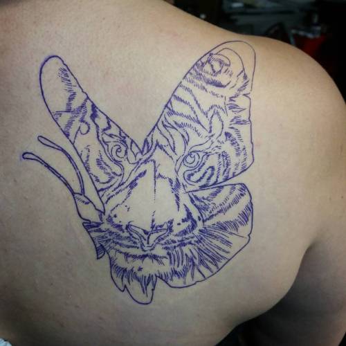 Tiger Butterfly.#TopRockerTattoo #SerVWasHere #WuTangsInTheCut #tigerstyle #tiger #butterfly (at Top