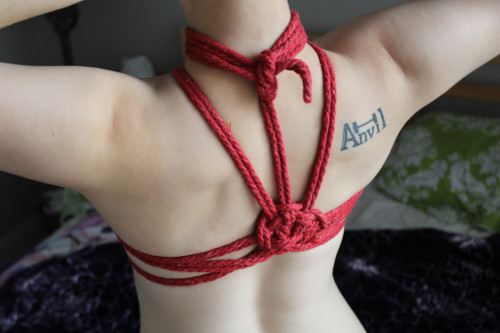 bdsmgeek:  Simple harness using my personal porn pictures