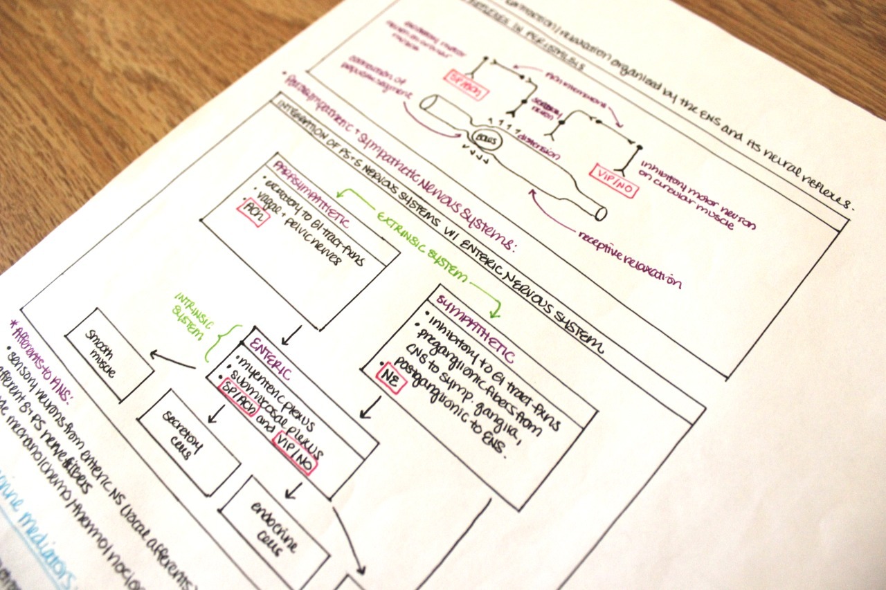 ilikeherbestofall:Nice notes are soothing and motivating.