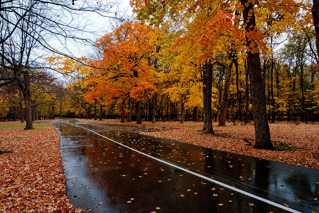 magicalautumn:  http://magicalautumn.tumblr.comI follow back all autumn themed blogs!