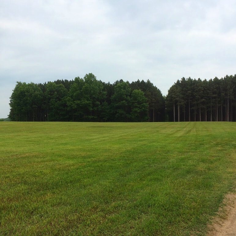 It’s a beautiful day to build a festival. Here’s what Sherwood Court looks like today!