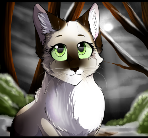 The drawing to accompany Chapter 16 ^^ This little short-hair bby &lt;3Character(s): Dawnpaw (siames