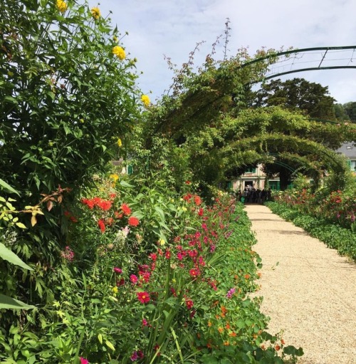 Money’s garden #giverny #garden #flowerpower (at Jardin de Claude Monet A Giverny)