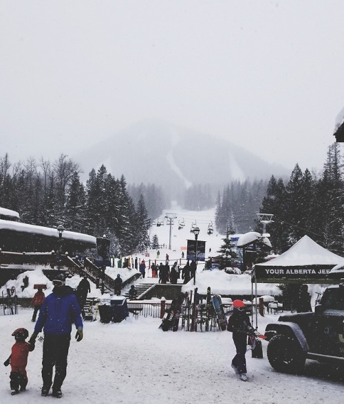 Fernie Alpine Resort-Day One 1/27/18–January Solo Snowboarding Trip–.First day here = Badass. This m