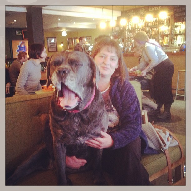 Yawn #canecorso #canecorsogram @electrikbar (at Electrik)