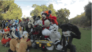 I will defend furries to my grave!