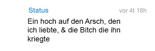 whatsapp-status:   Ein hoch auf den Arsch, den ich liebte, &amp; die Bitch die