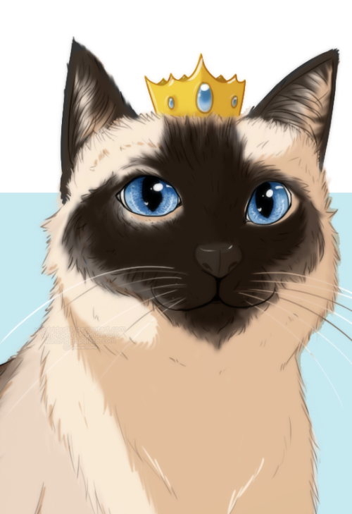  ♚ Commission Info ♚Siamese cat commission I did for a coworker at work for her Mum’s cats as a pres
