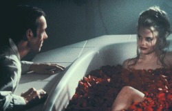 cinyma:  American Beauty, dir. by Sam Mendes