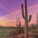 mesas-and-ocotillo avatar