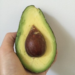 Effervescentvibes:  Tearyplant:  Itscatastic:  This Avocado Was Weird But Also Perfect!