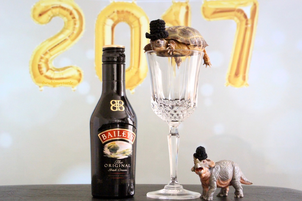 thewhimsyturtle:  thewhimsyturtle:  🎉🎩🐢  Happy New Year, Tumblr!  🥂🍾🎊