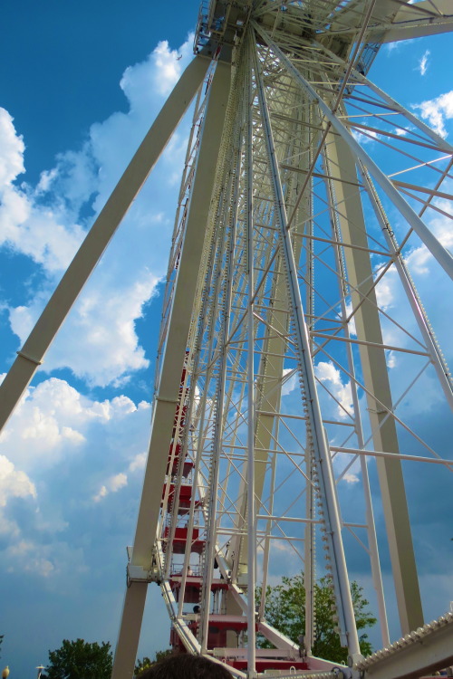 navy pier