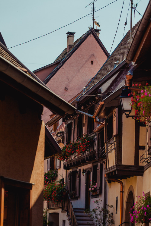 Eguisheim, Alsace, France