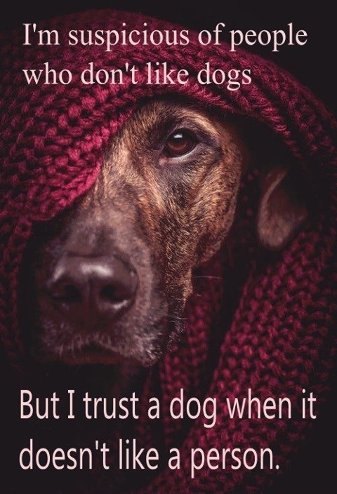 Their instincts far outshine ours