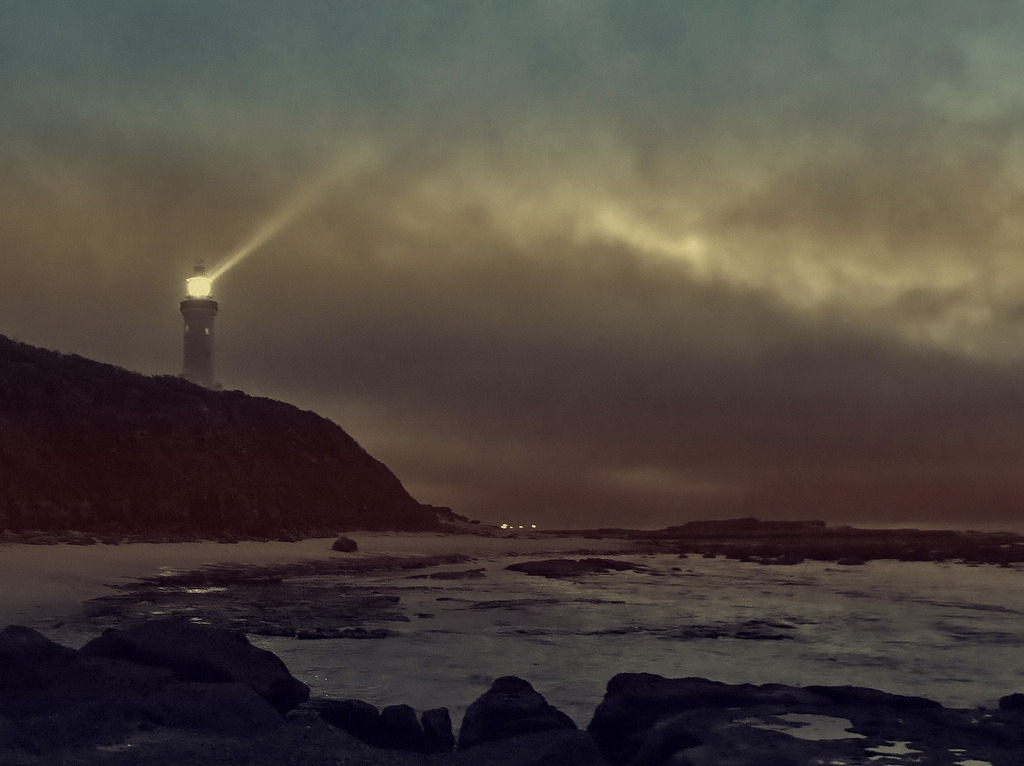 baterfly:  -hedgey-, Norah Head Lighthouse, NSW