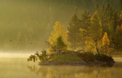 photosofnorwaycom:  Soloppgang under elgjakt by morten.images A cold and misty morning during moose hunt. http://flic.kr/p/N562EU