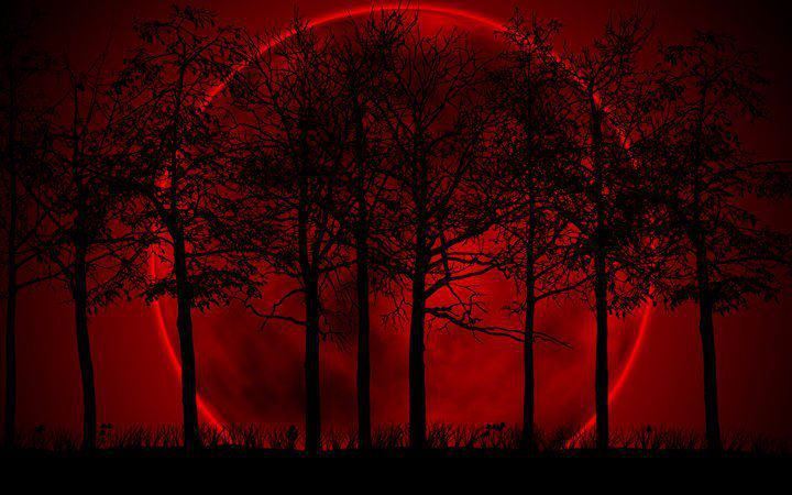 I Love Vampire Novels — This blood red moon is so beautiful yet so creepy...