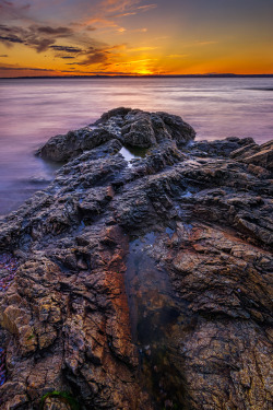 wowtastic-nature:  💙 To The Sun on 500px by Lechmoore Simms, Kingston, Jamaica☀  ILCE-6000-f/8-1s-10mm-iso100, 3929✱5894px-rating:91.9