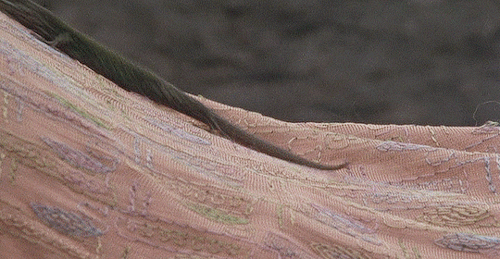 amatesura:  Enchanted April (1991) | dir. Mike Newell