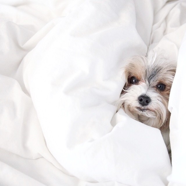via asos_isabella