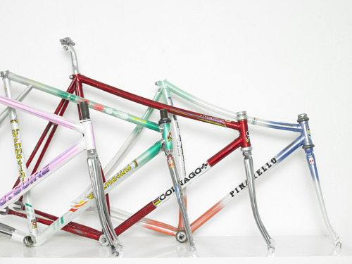 titsandtires:  my four italian pursuit frames ! (by mr.cailloux)