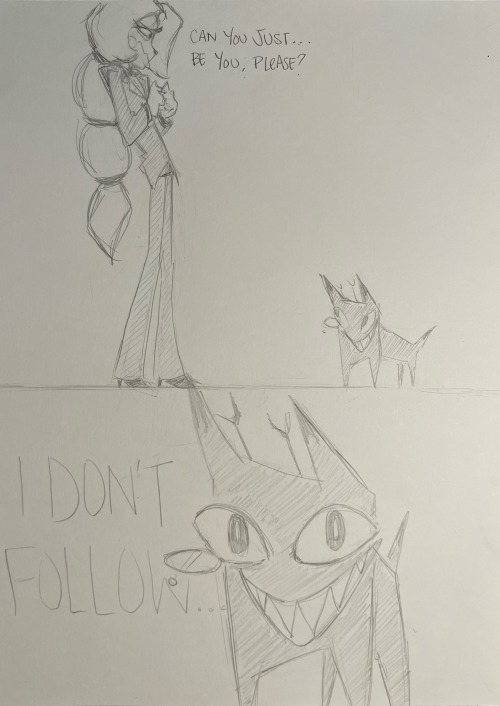 Where Did This Cat Come From