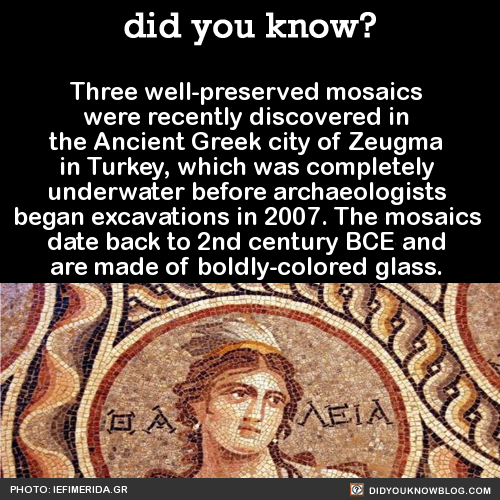 did-you-kno:  Source 