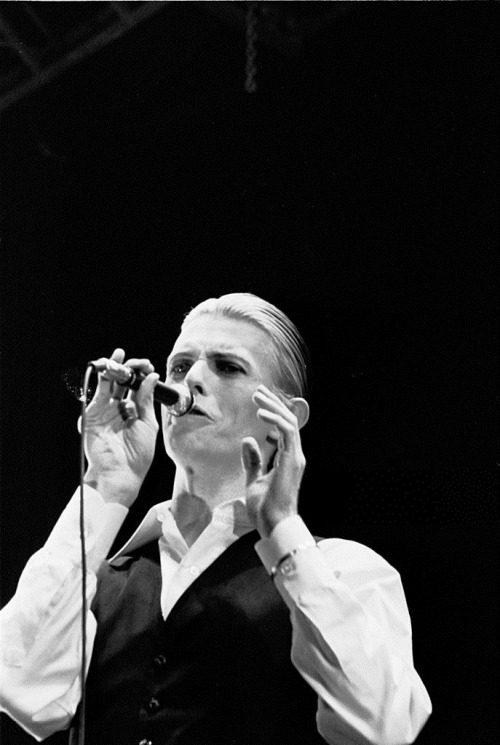 nightspell:David Bowie, May 13, 1976, Ahoy, Rotterdamphotos by Gijsbert Hanekroot