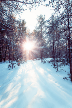 plasmatics-life:  Winterflare ~ By Dustin Abbott 