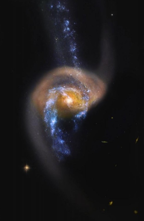 the-wolf-and-moon:    NGC 7714,   Galaxy Collision  