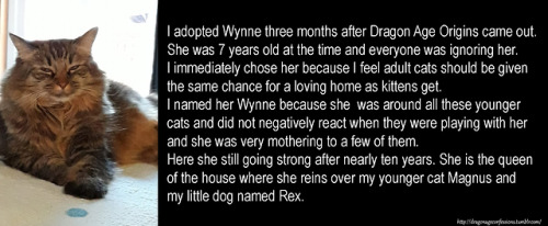 dragonageconfessions - CONFESSION - I adopted Wynne three months...