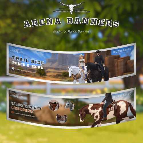 Hello Horsey Enthusiasts!