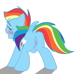 dr-halls-porny-porn-page:Rainbow is the pony for today.X: