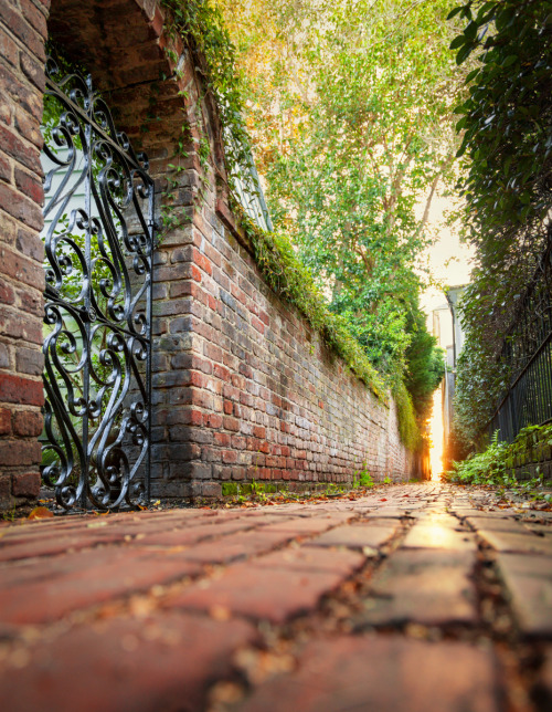 View Down Stoll’s Alley at Sunrise, Charleston, SC© Doug Hickok   More here…   hue and eye tu