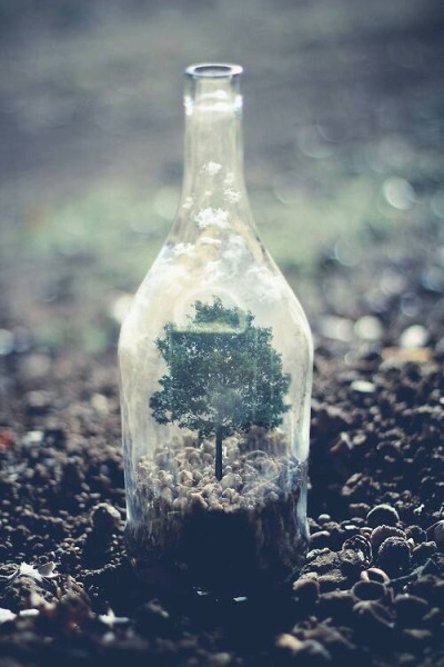 grunge-tea:▲  Boost Your Blog▲  