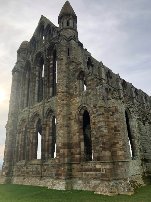 Visiting Whitby Abbey a few weekends ago, worth the famous 200 steps to get there for the wonderful 